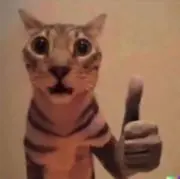 lieの画像