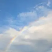 ゆかりんの画像