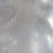 +ෆ‪+プロフ必読❣️の画像