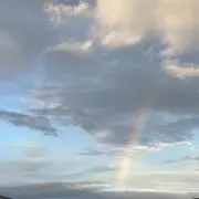 ぴありの画像