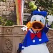 あいの画像