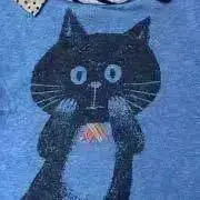 nyankoの画像