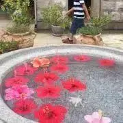 m4hの画像