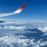マーローの画像