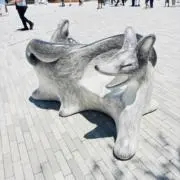 サガンの画像