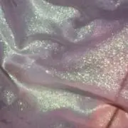 蘭丸の画像