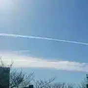 n  (プロフィール必読願います）の画像
