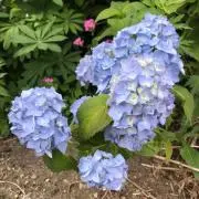 うっしーのお店の画像