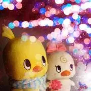 あずの画像