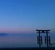 タケの画像