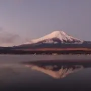 ヤンゲーの画像