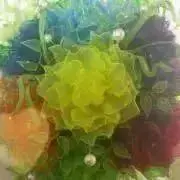 ☆vmv☆プロフィール必読☆の画像