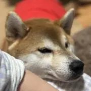 myuの画像