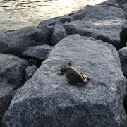 SB断捨離中