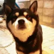 鉄火