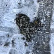 チョウンナル
