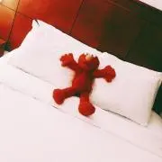 ビスはん。