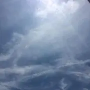 かい