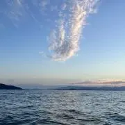 しんの画像