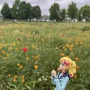 KUMANOKOの画像