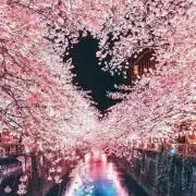たんたん。の画像