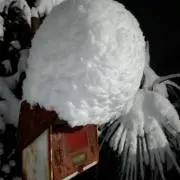 けいおみの画像