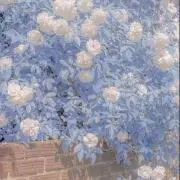 7yu7の画像