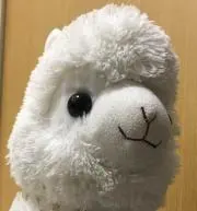 Kirin
