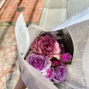 Sの画像