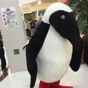 即購入OK！ 断捨離してます。の画像