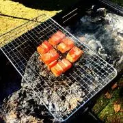 ペロ^.^断捨離中！の画像