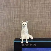 nkpの画像