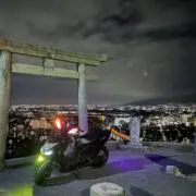シグナス乗りの画像