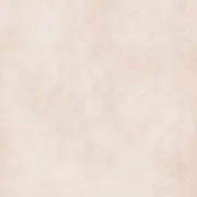 Sの画像