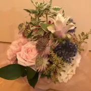 みーすけの画像