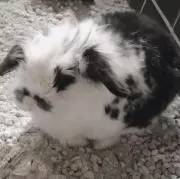 ☆tomo☆の画像