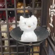 riniの画像