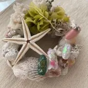 もちこの画像