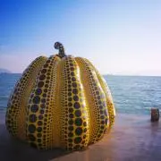 佐丸の画像