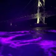 おむすびの画像