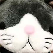 lofobveの画像