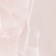 nの画像