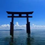ゆうの画像