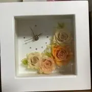 ありんココの画像