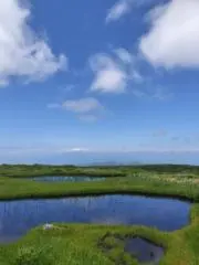 しんの画像