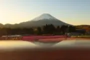 ぱせりの画像