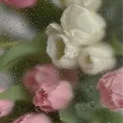 m.121の画像
