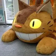 ねこらーめん