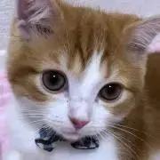 かずくんの画像
