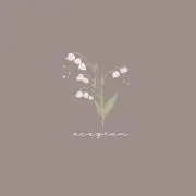 ぴょんきち